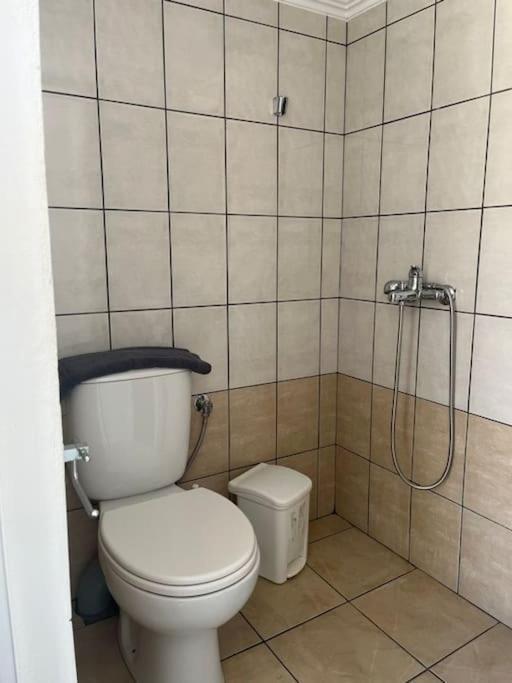 Alex House Apartment Parga Exterior foto