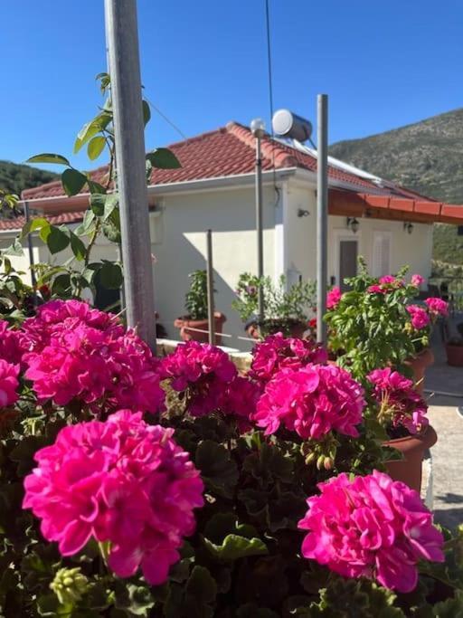 Alex House Apartment Parga Exterior foto
