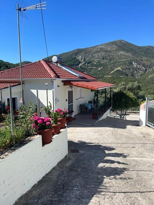 Alex House Apartment Parga Exterior foto
